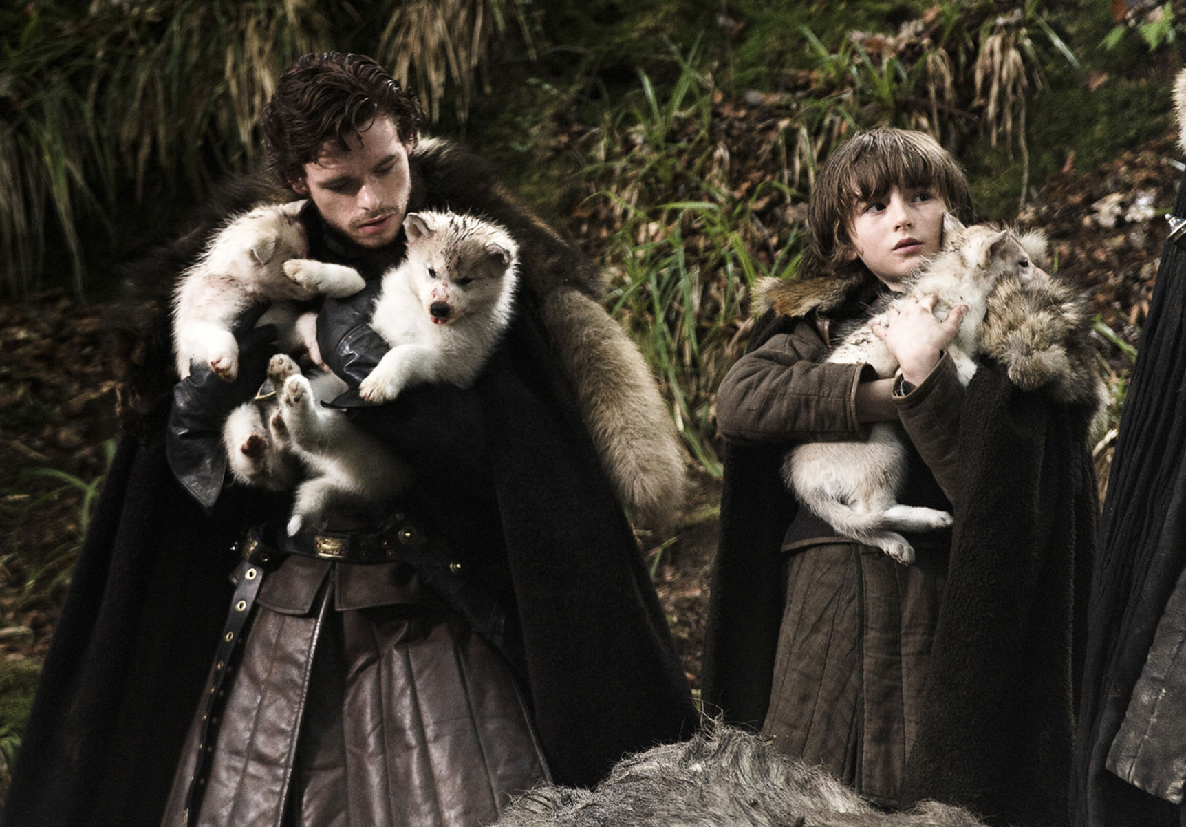 Direwolves: Nymeria and Ghost